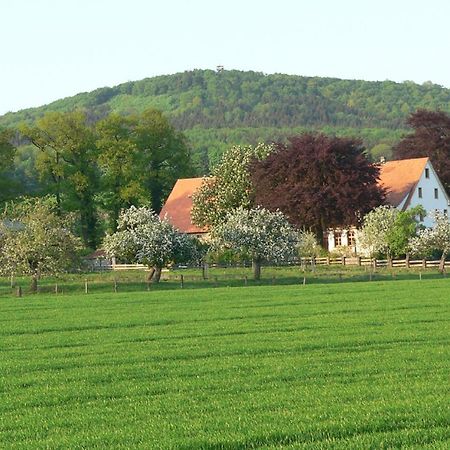 Ferienwohnung An Der Obstwiese Borgholzhausen Zewnętrze zdjęcie