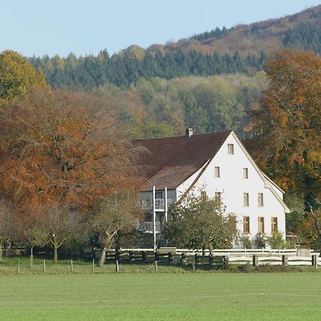 Ferienwohnung An Der Obstwiese Borgholzhausen Zewnętrze zdjęcie
