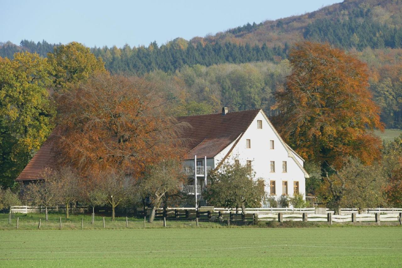 Ferienwohnung An Der Obstwiese Borgholzhausen Zewnętrze zdjęcie