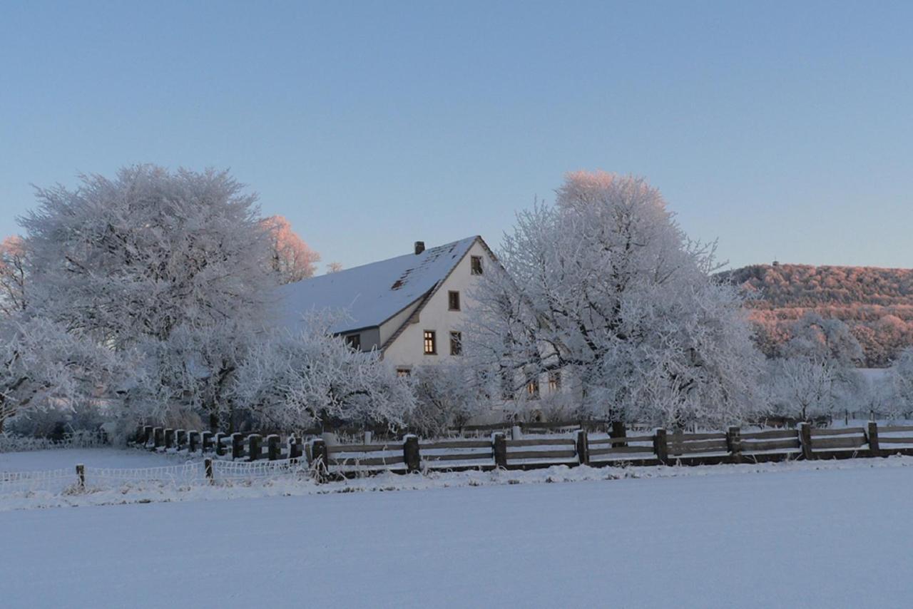 Ferienwohnung An Der Obstwiese Borgholzhausen Zewnętrze zdjęcie